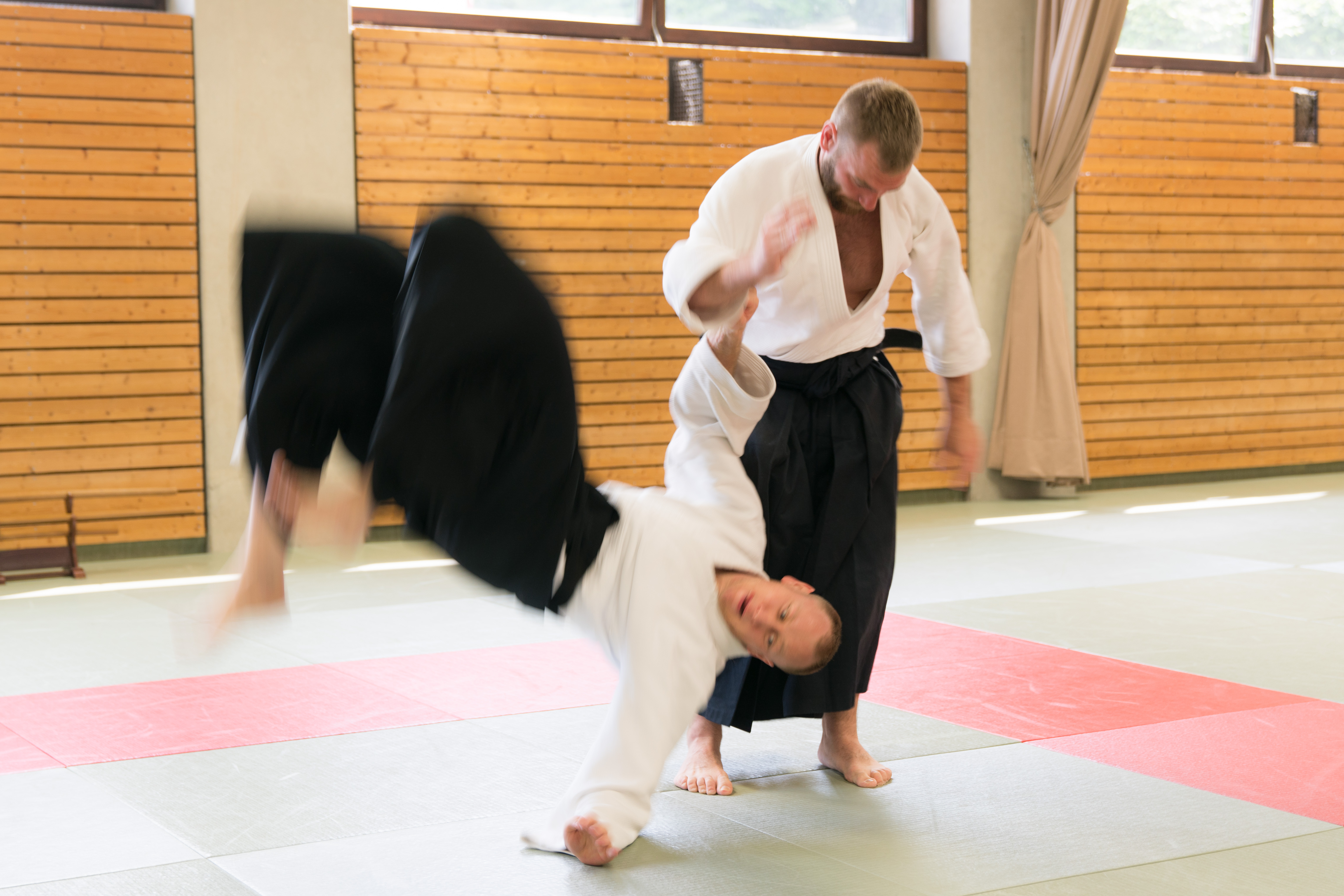 Bilder von unseren Trainings und Seminaren